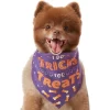 Frisco I Do Tricks For Treats Dog & Cat Bandana