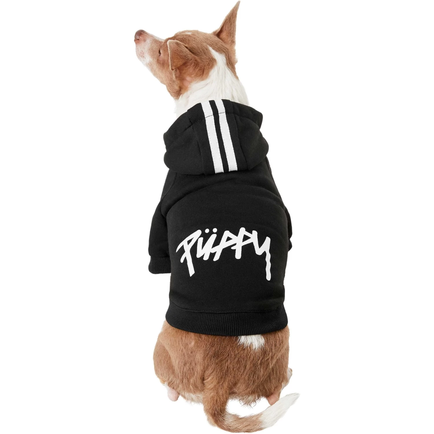 Frisco Püppy Dog Athletic Hoodie - Image 3