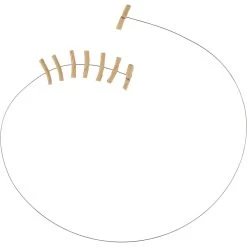 Frisco Cardboard & Wire Teaser Cat Toy