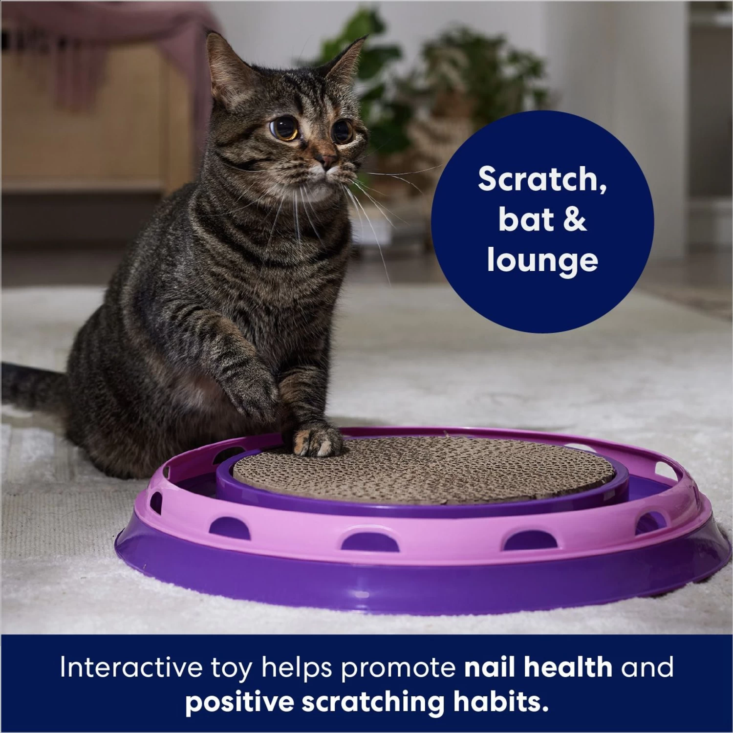 Frisco Scratch & Roll Scratcher Cat Toy With Catnip - Image 3