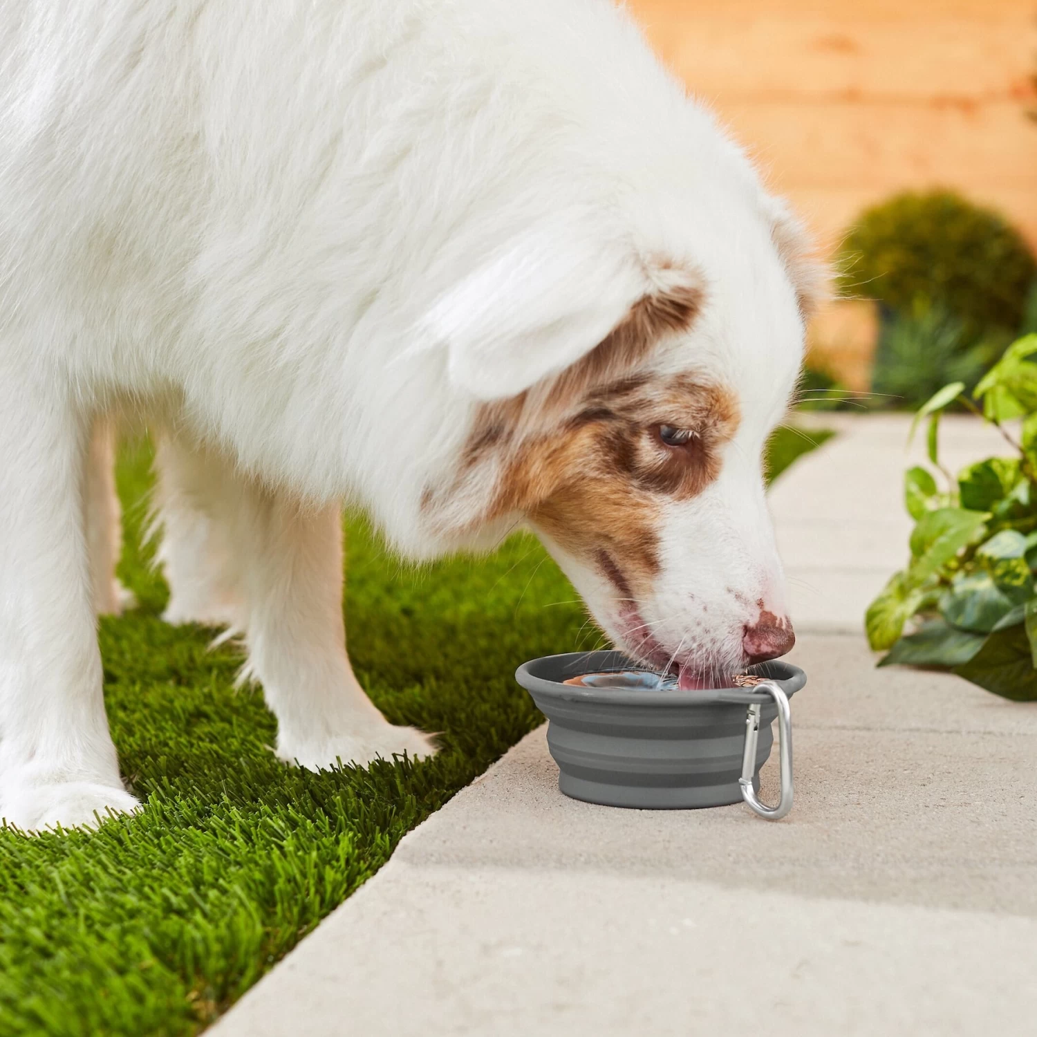 Frisco Silicone Collapsible Travel Bowl With Carabiner - Image 5