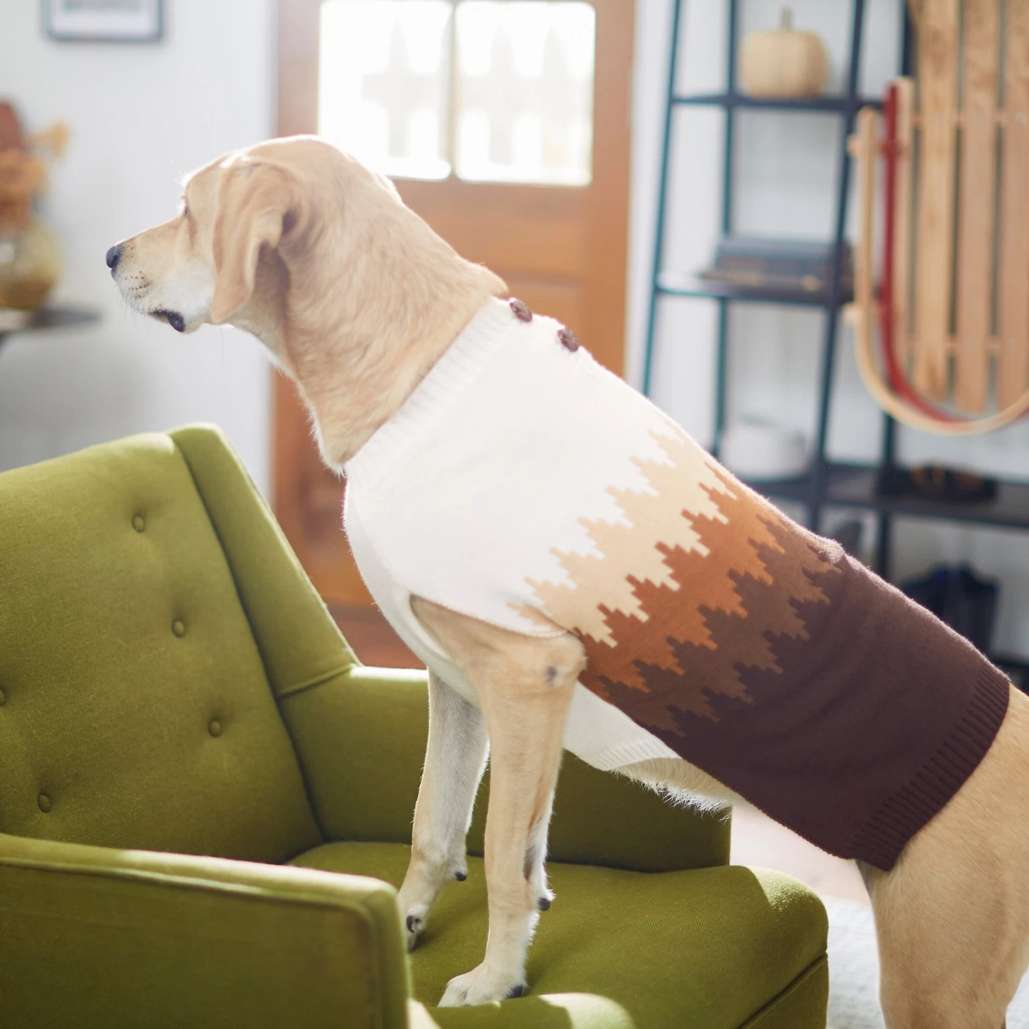 Frisco Gradient Diamond Dog & Cat Sweater - Image 5