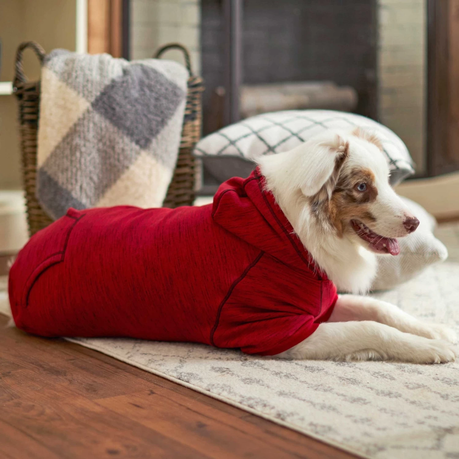 Frisco Sporty Dog & Cat Hoodie - Image 8
