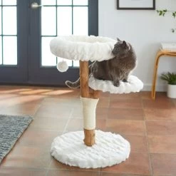 Frisco Natural Wood Modern Cat Tree With Toy, Ivory, Medium