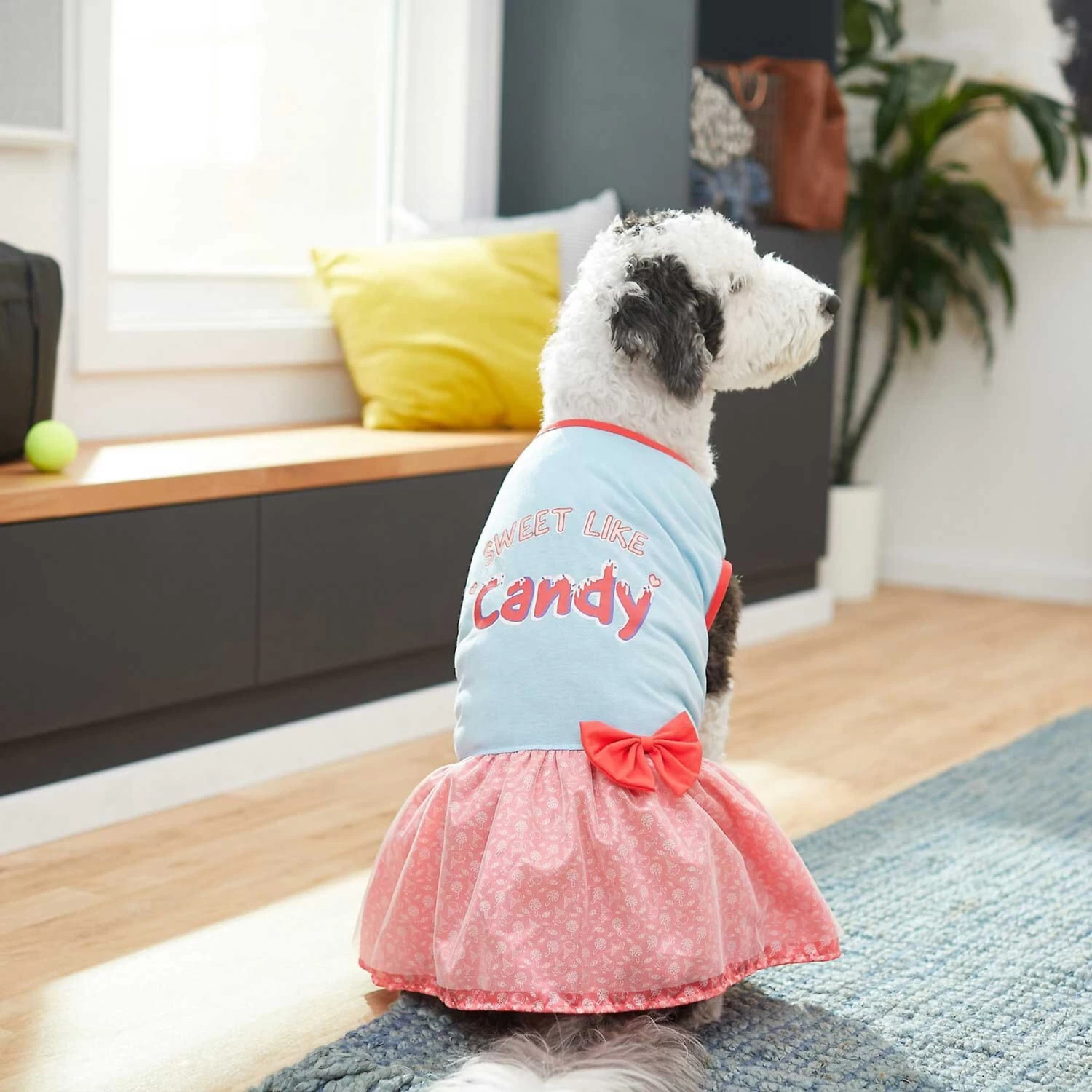 Frisco Sweet Like Candy Dog & Cat Dress - Image 5