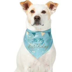 Frisco It's My Birthday Dog & Cat Bandana, Blue