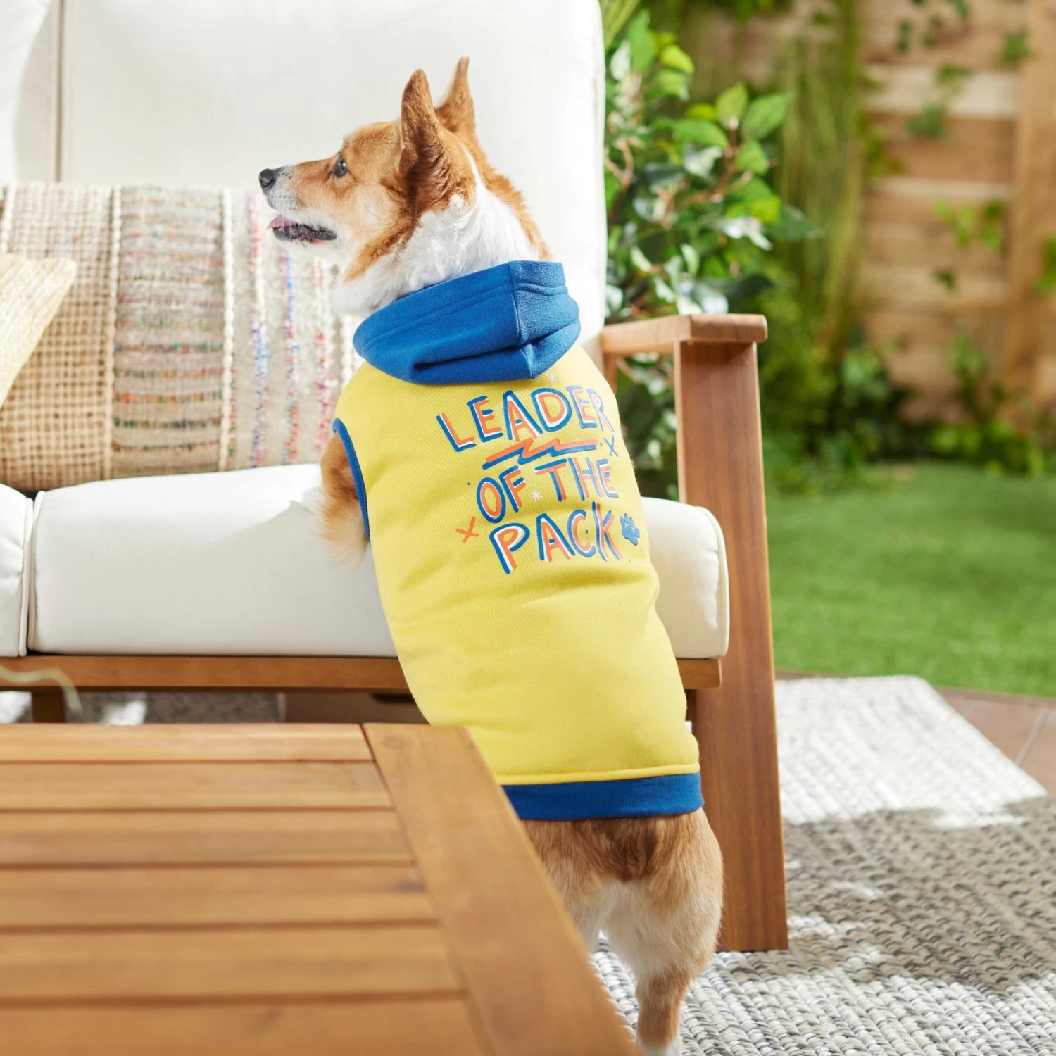 Frisco Leader Of The Pack Dog & Cat Hoodie - Image 6