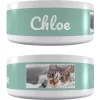 Frisco Playful Kitty Ceramic Personalized Cat Bowl, 1-cup, 8oz