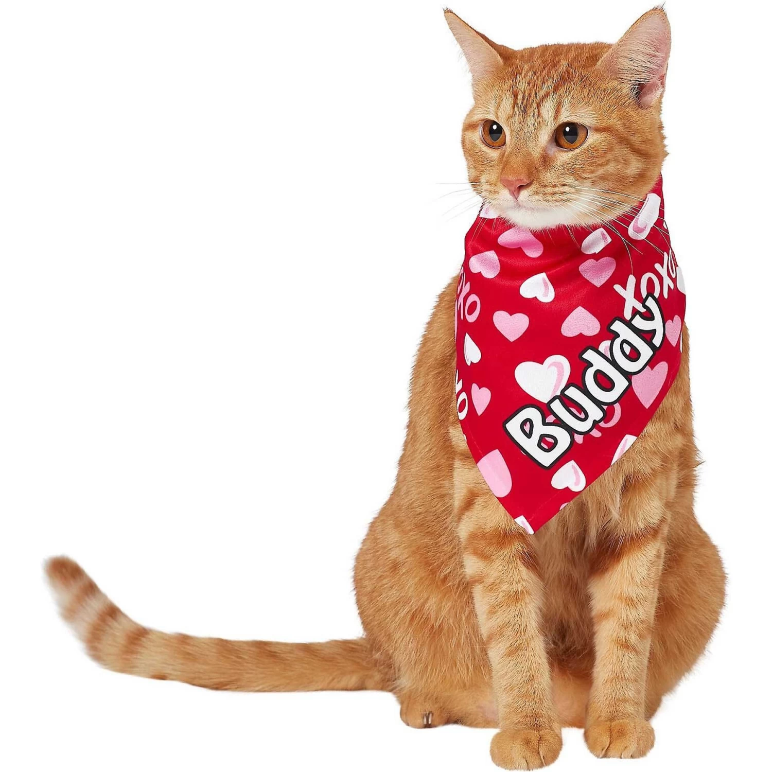 Frisco XOXO Hearts Personalized Dog & Cat Bandana - Image 8