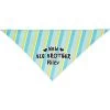 Frisco Big Brother Personalized Dog & Cat Bandana