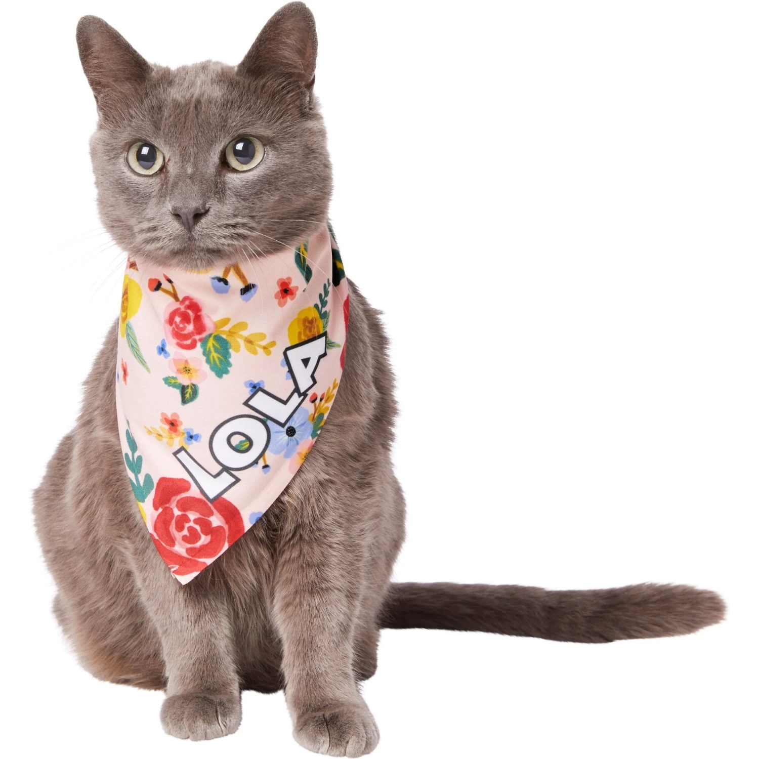 Frisco Floral Personalized Dog & Cat Bandana - Image 8