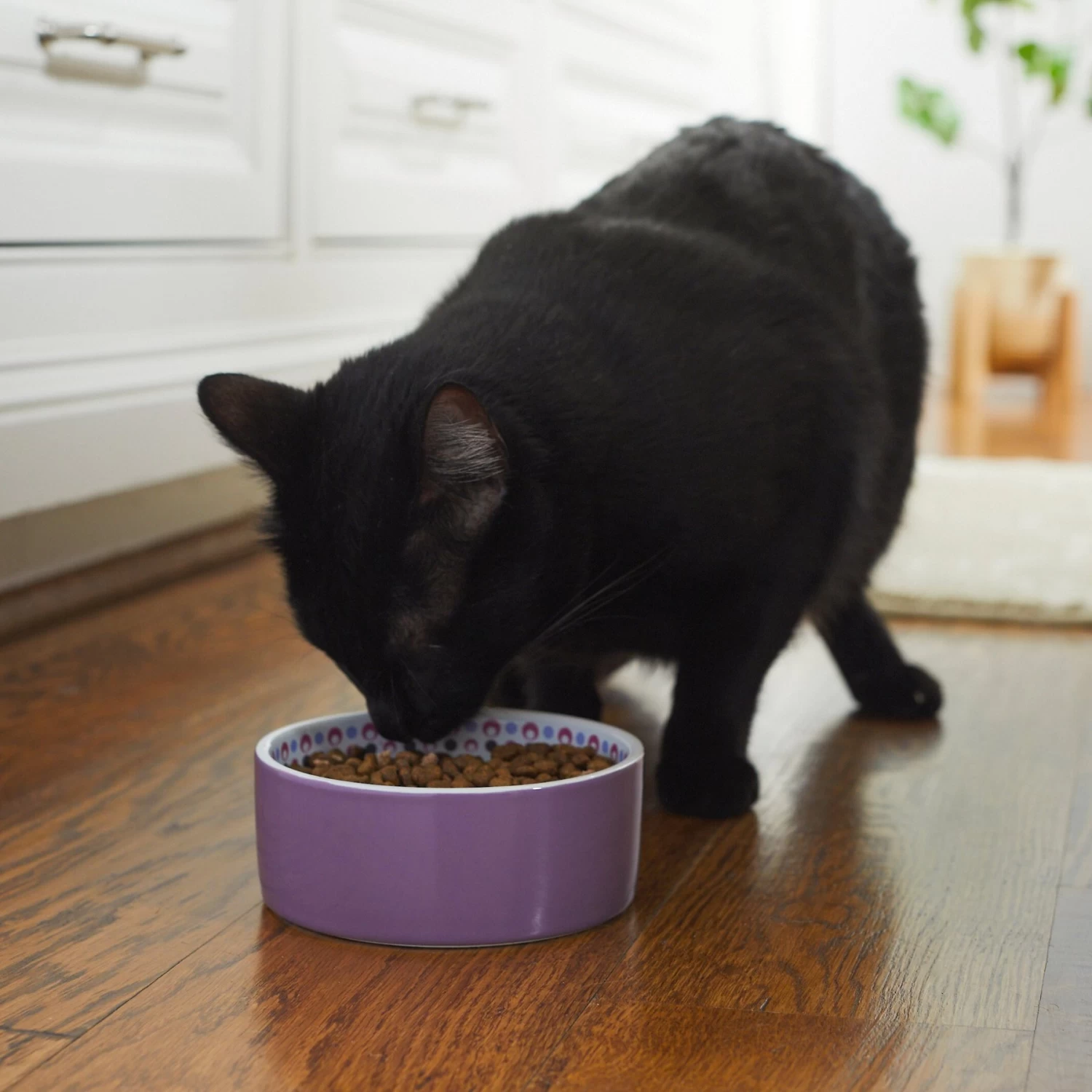 Frisco Kaleidoscope Pattern Non-skid Ceramic Dog & Cat Bowl - Image 3