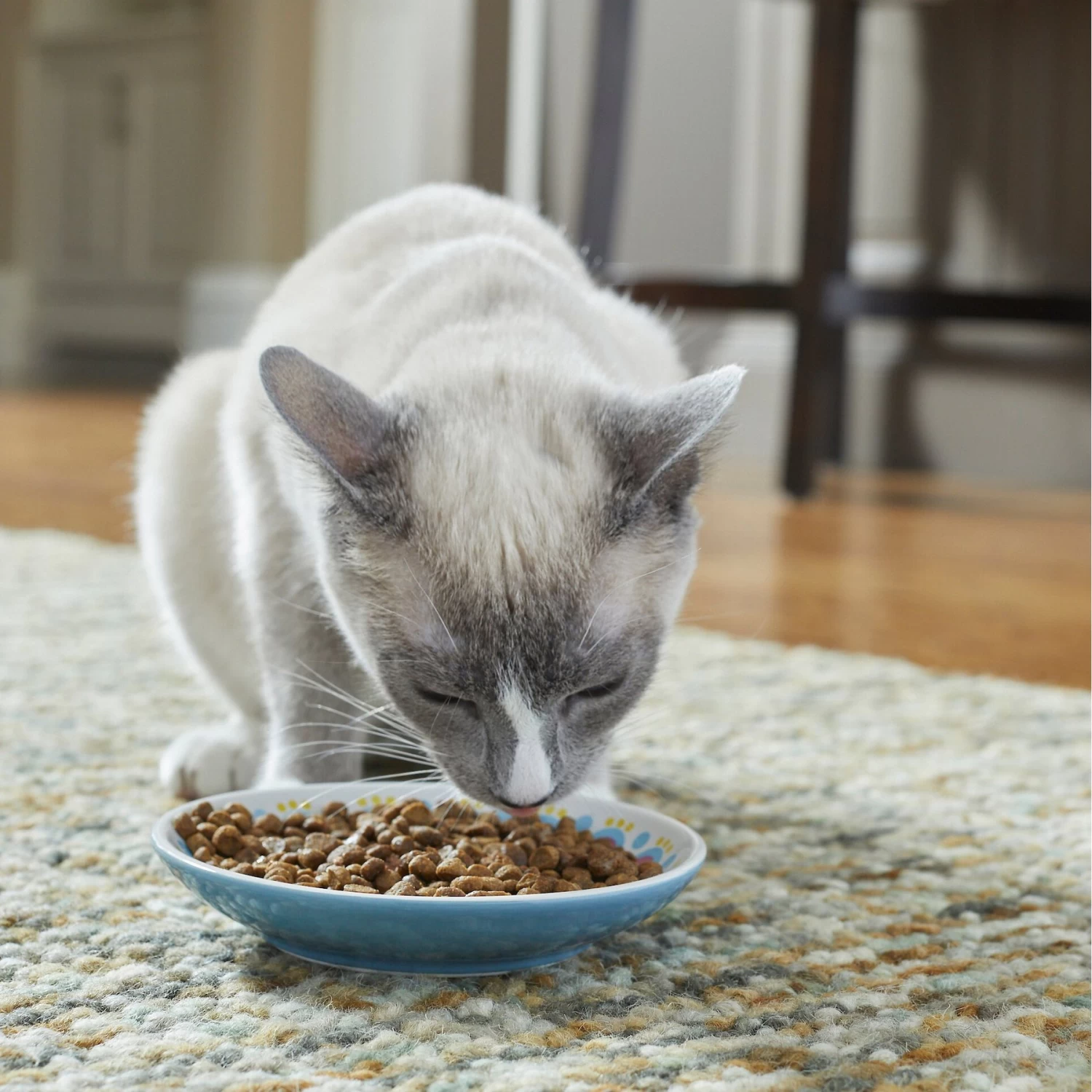Frisco Kaleidoscope Pattern Non-skid Ceramic Cat Dish - Image 3