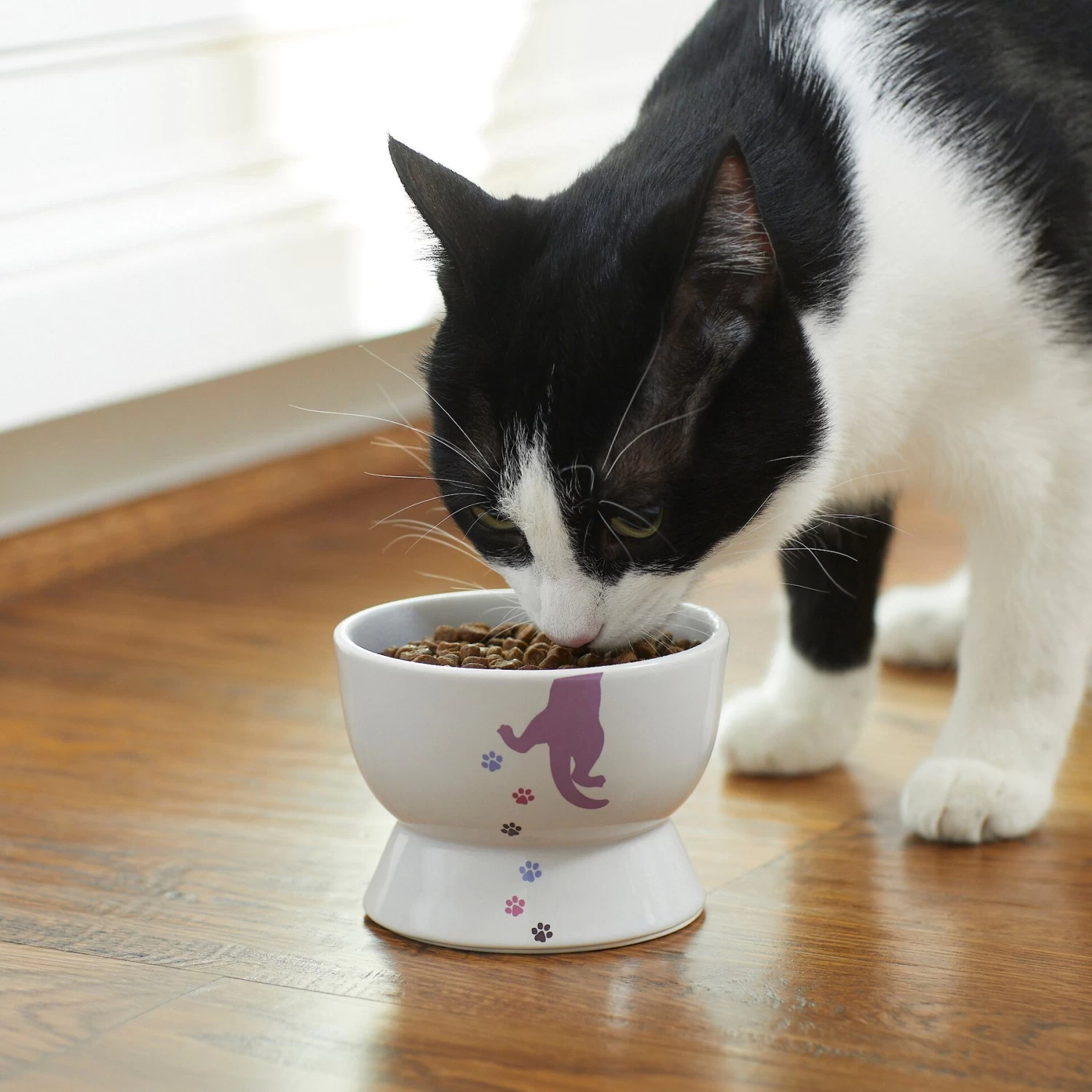 Frisco Cat Print Non-skid Elevated Ceramic Cat Bowl, Short - Image 3