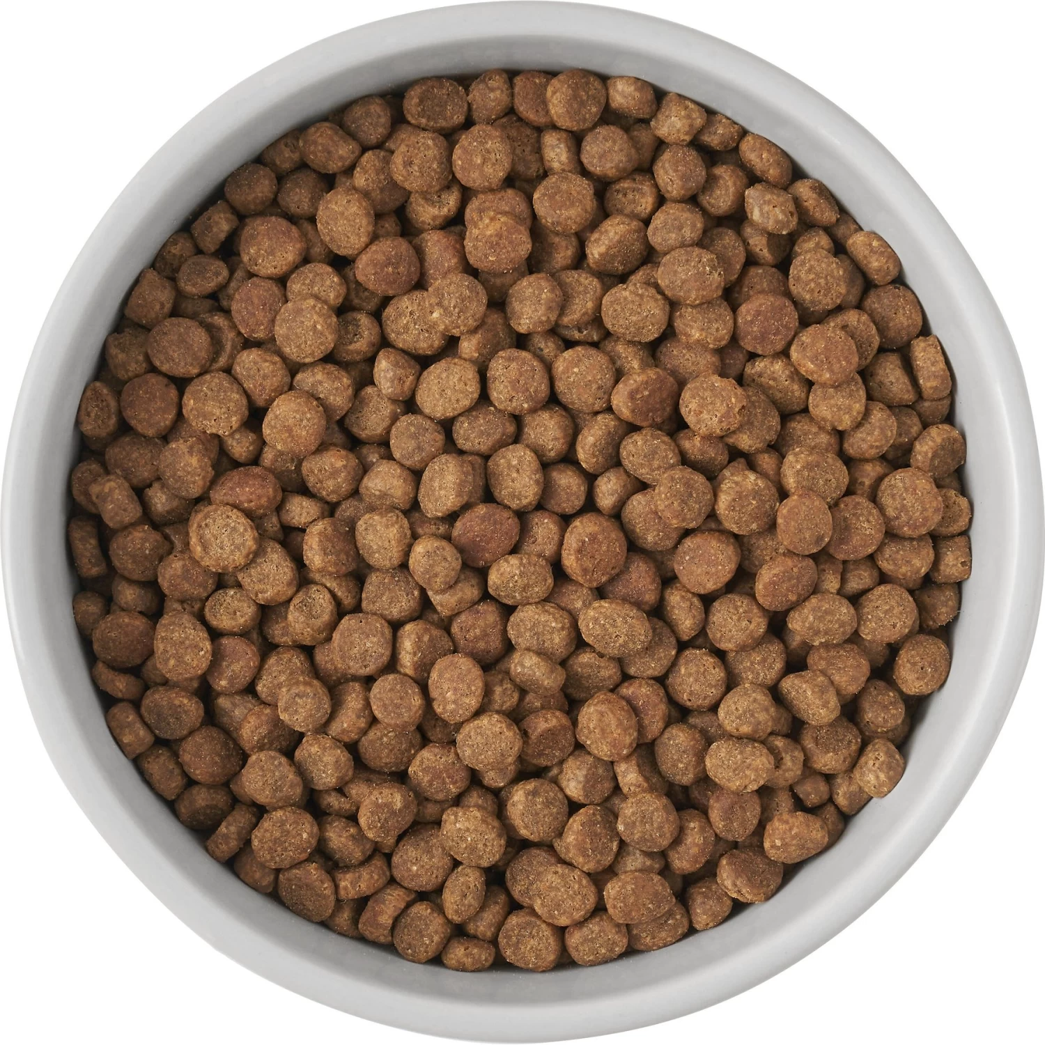 Frisco Cat Print Non-Skid Elevated Ceramic Cat Bowl, Tall - Image 5