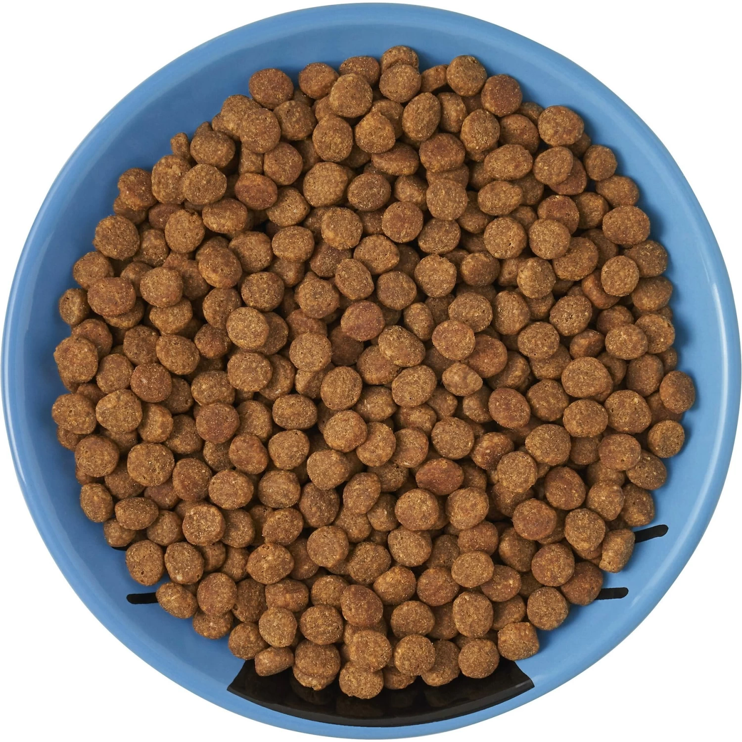 Frisco Cat Face Non-skid Ceramic Cat Dish, Blue - Image 6