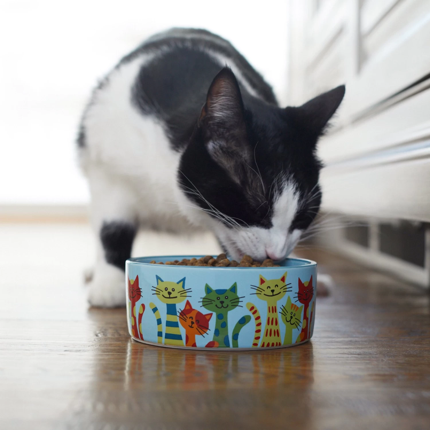 Frisco New York Non-skid Ceramic Cat Bowl - Image 3