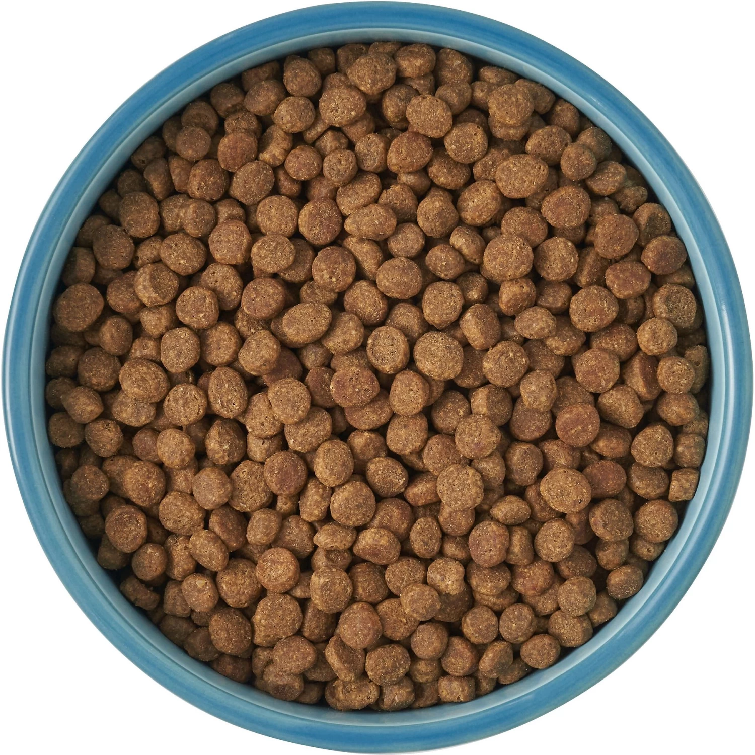 Frisco New York Non-skid Ceramic Cat Bowl - Image 6