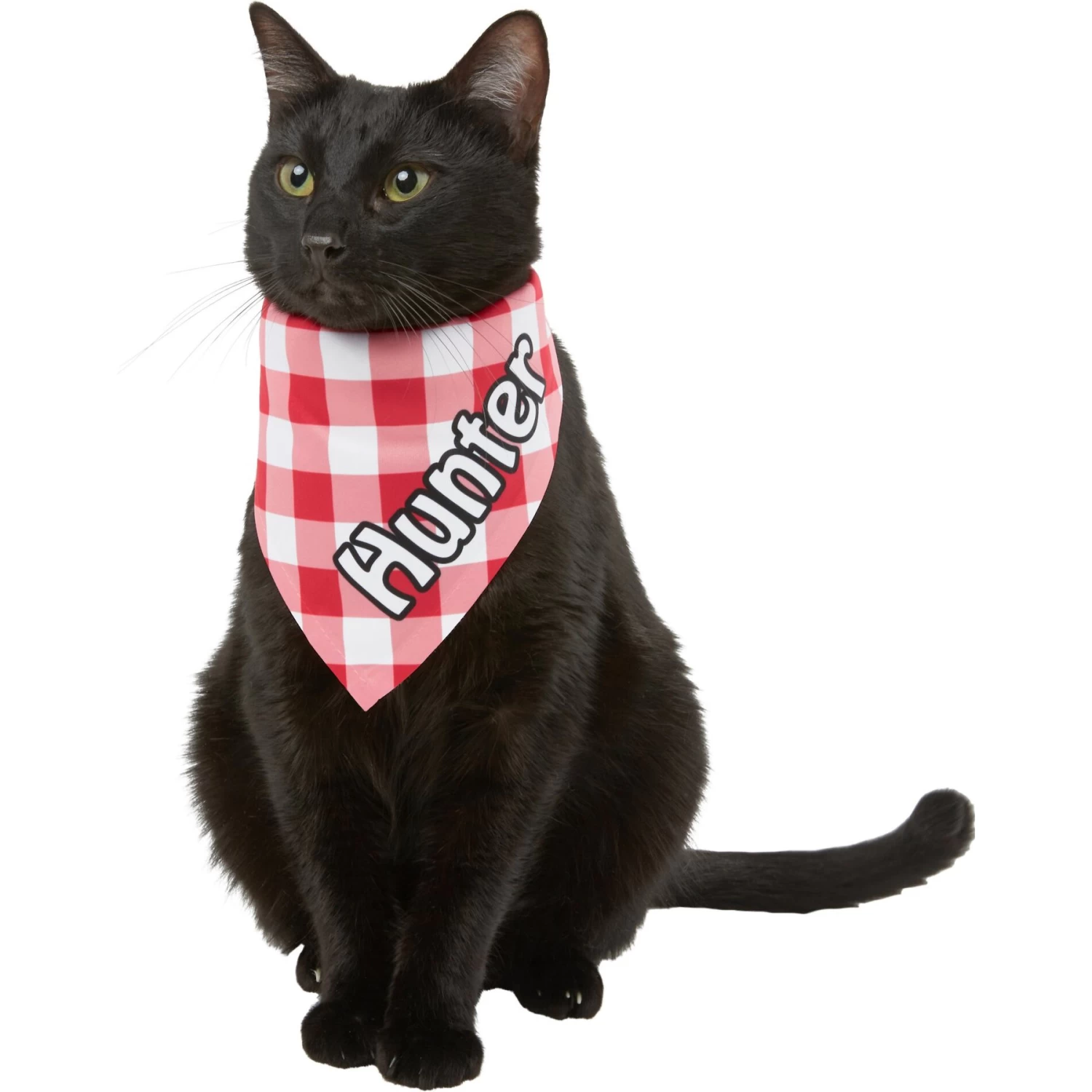 Frisco Gingham Personalized Dog & Cat Bandana - Image 8