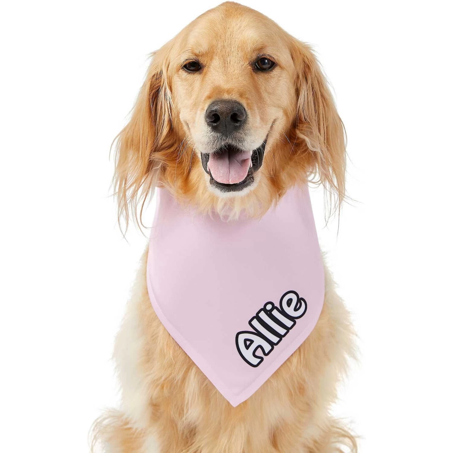 Frisco Solid Pastel Personalized Dog & Cat Bandana - Image 7