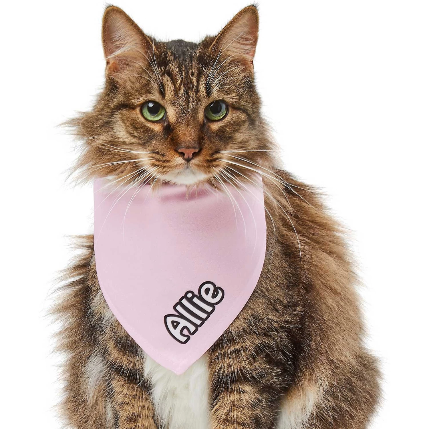 Frisco Solid Pastel Personalized Dog & Cat Bandana - Image 8