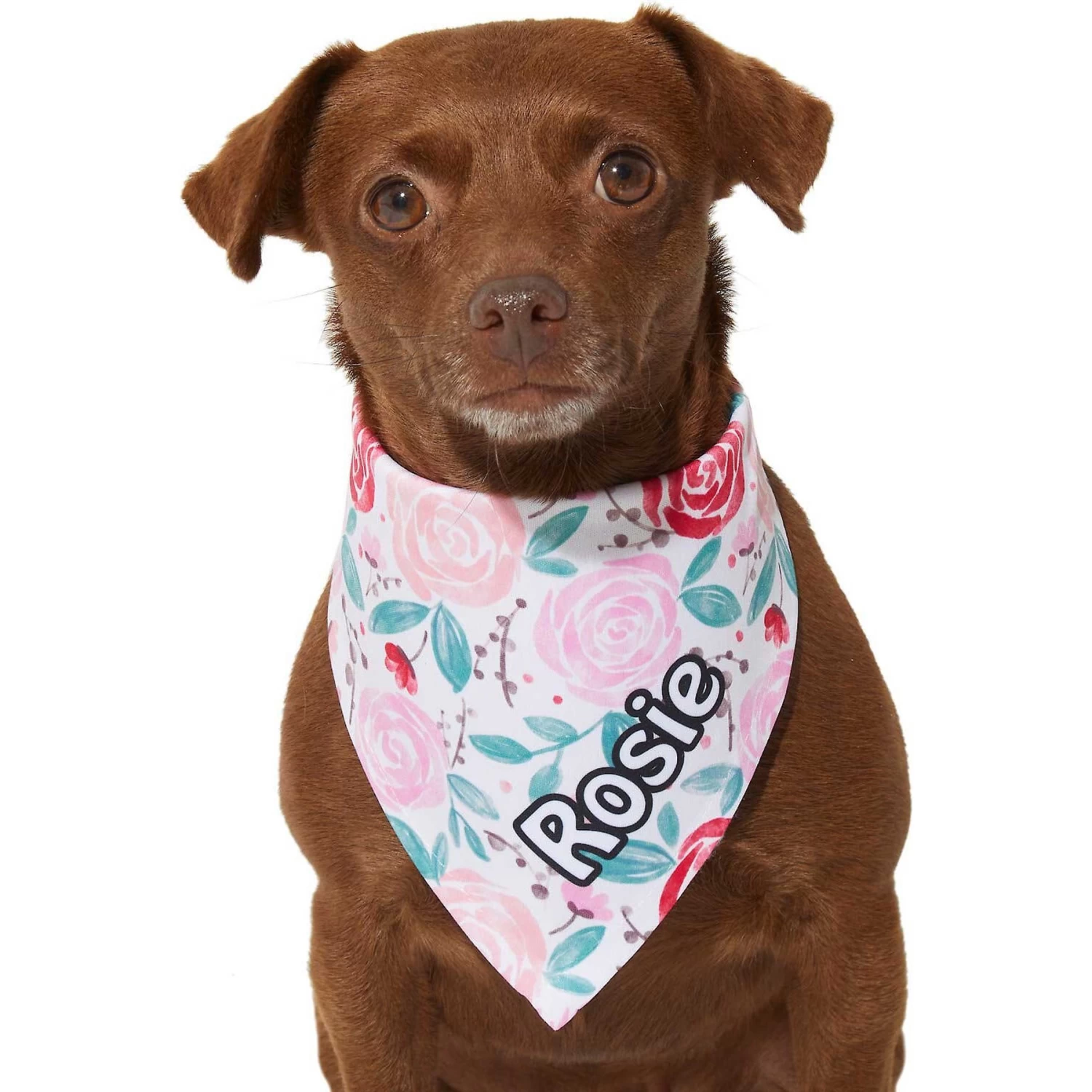 Frisco Watercolor Roses Personalized Dog & Cat Bandana - Image 6