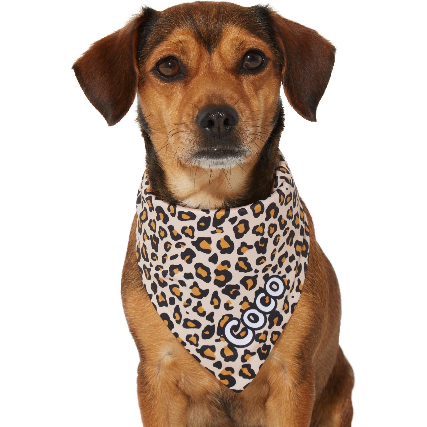 Frisco Leopard Print Personalized Dog & Cat Bandana - Image 7