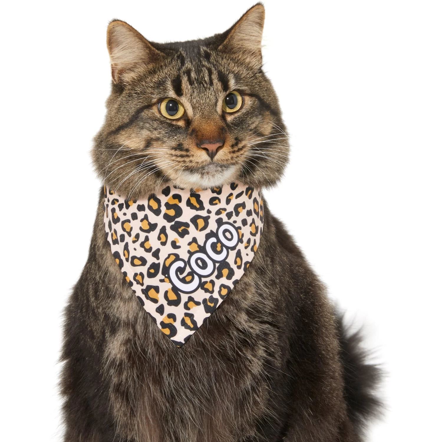 Frisco Leopard Print Personalized Dog & Cat Bandana - Image 8