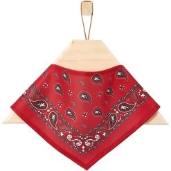 Frisco Red Paisley Dog & Cat Bandana