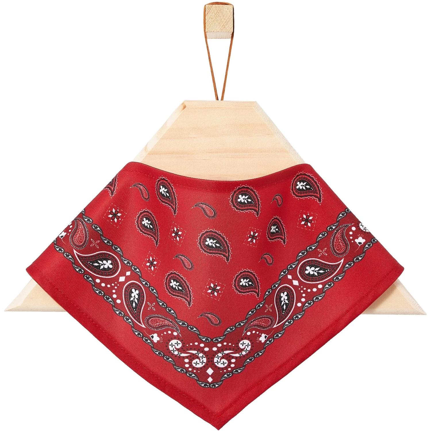 Frisco Red Paisley Dog & Cat Bandana