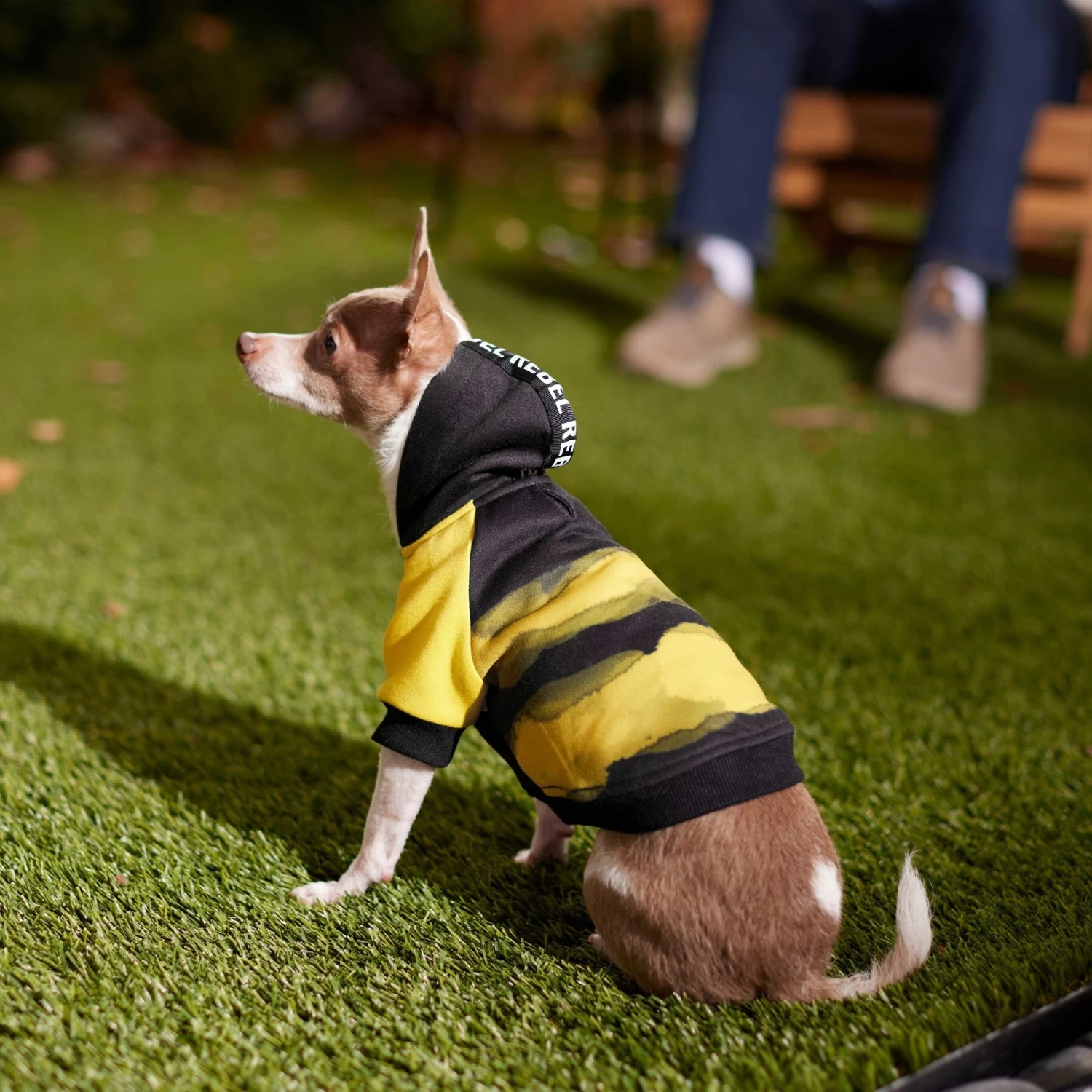 Frisco Rebel Dog & Cat Hoodie - Image 7