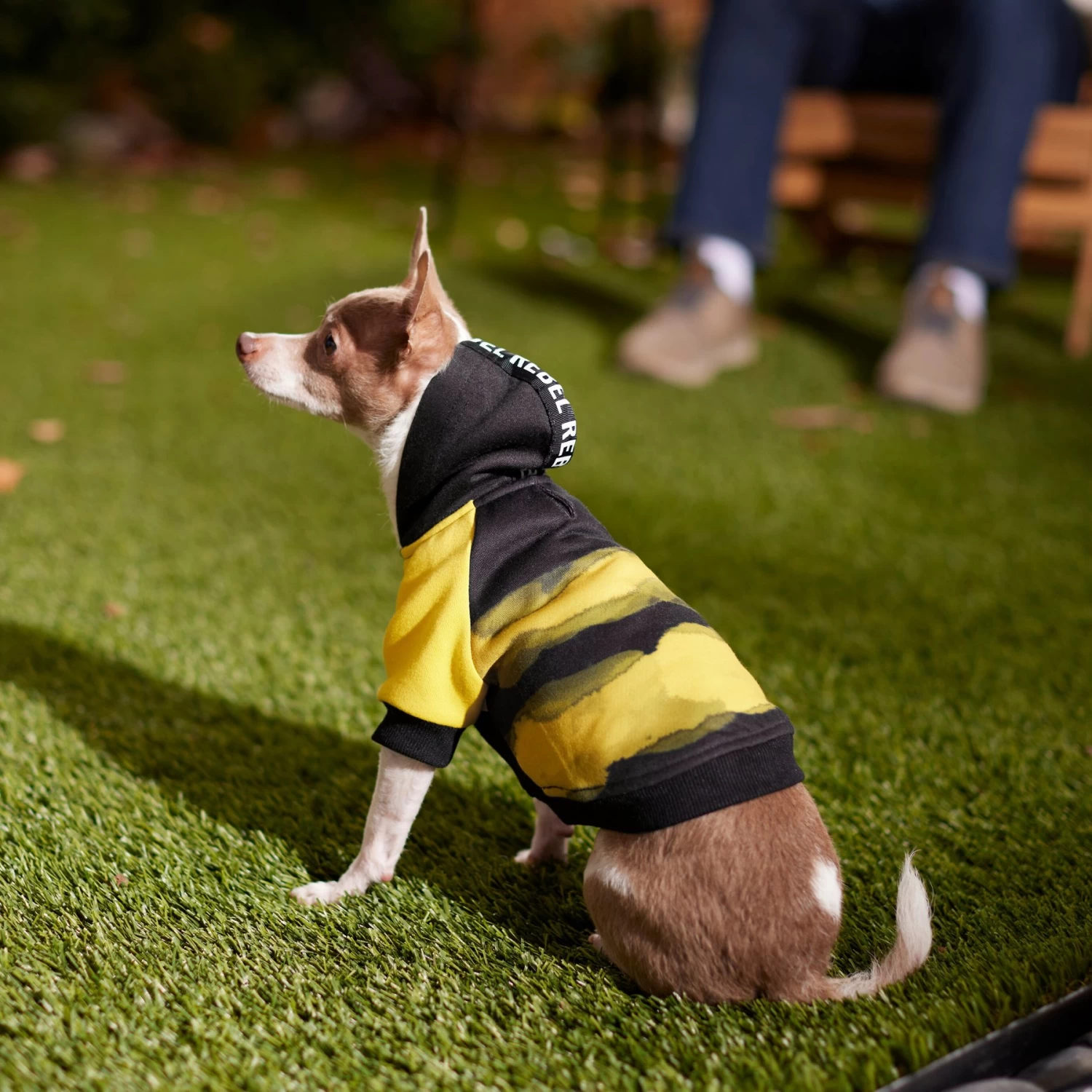 Frisco Rebel Dog & Cat Hoodie - Image 8