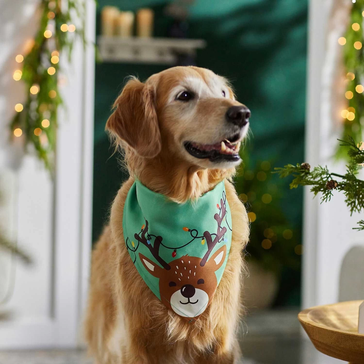 Frisco Peekaboo Reindeer Dog & Cat Bandana - Image 6