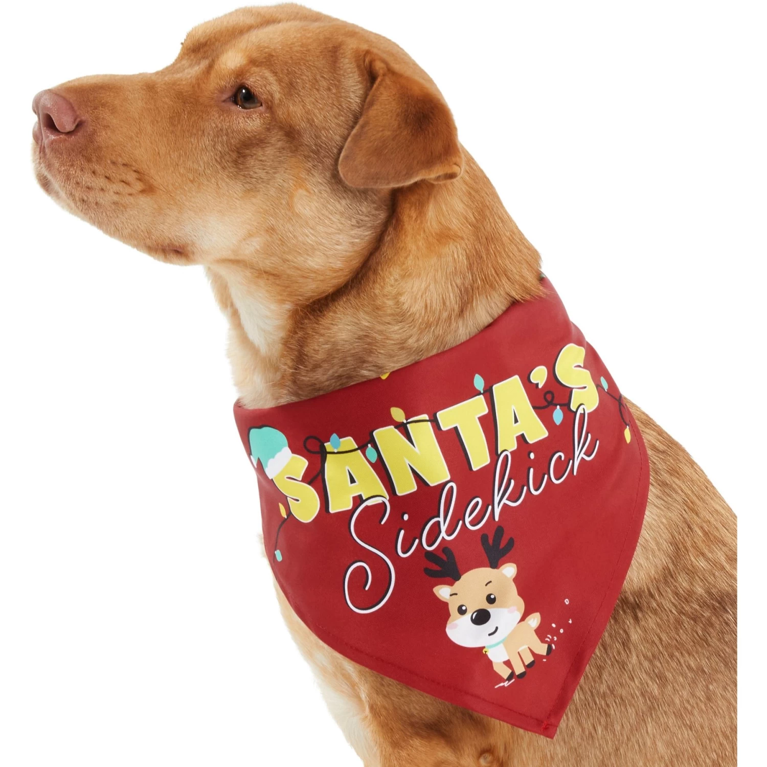 Frisco Santa's Sidekick Dog & Cat Bandana - Image 3