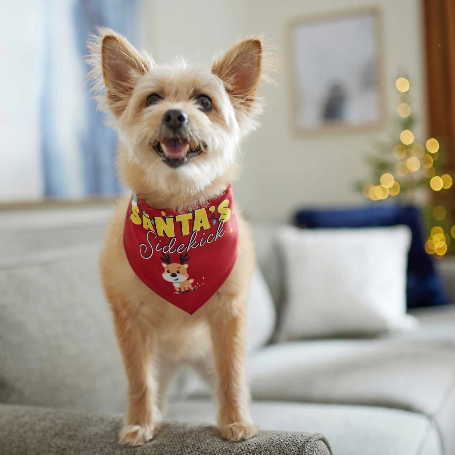 Frisco Santa's Sidekick Dog & Cat Bandana - Image 6