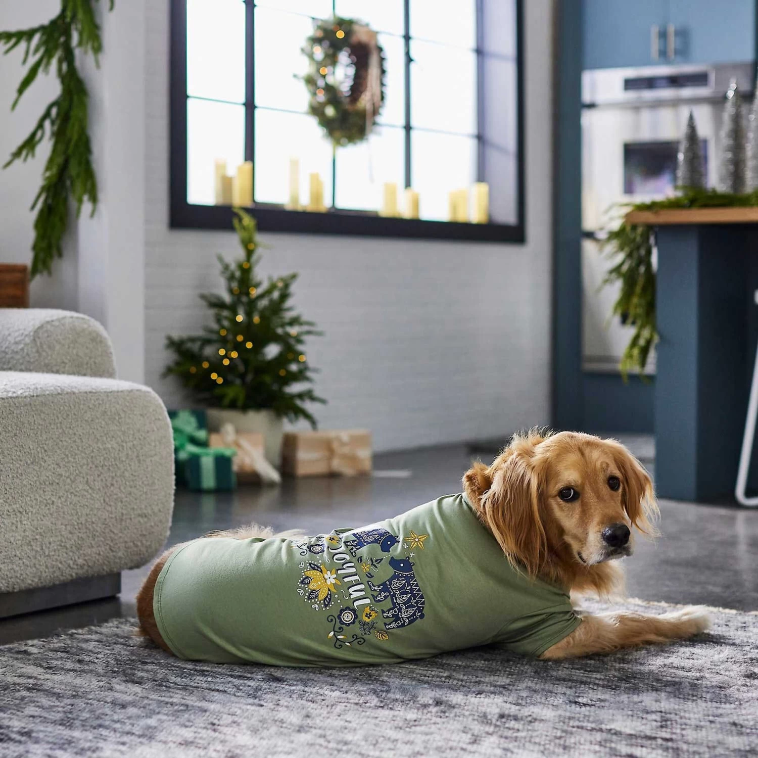 Frisco Joyful Hygge-Inspired Dog & Cat T-shirt - Image 6