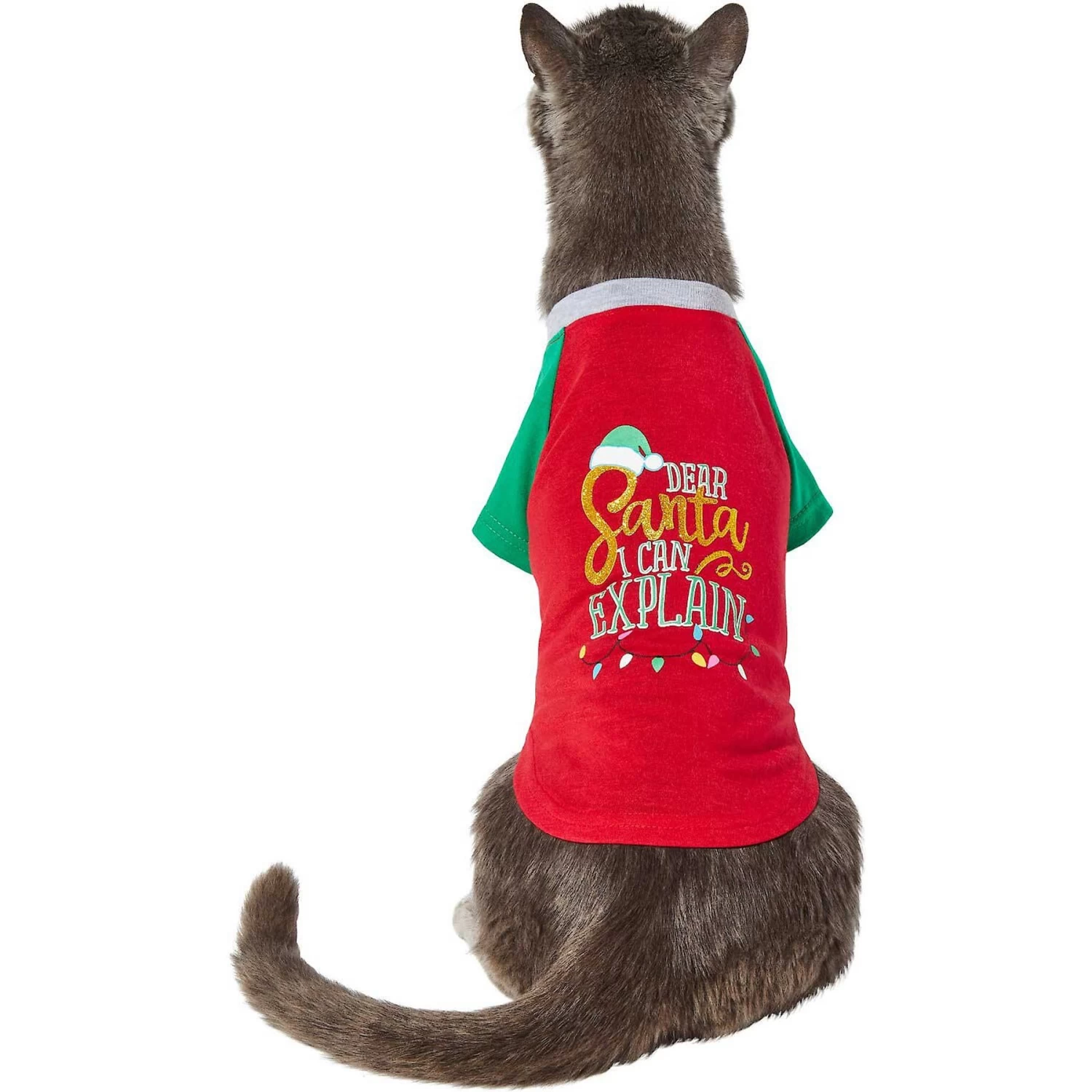 Frisco Santa I Can Explain Dog & Cat T-shirt - Image 3