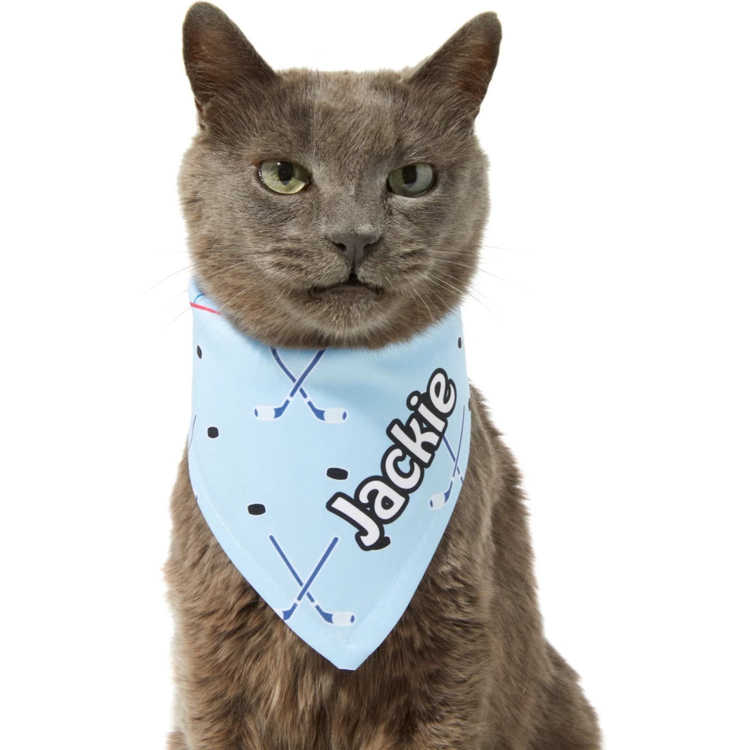 Frisco Ice Hockey Personalized Dog & Cat Bandana - Image 8