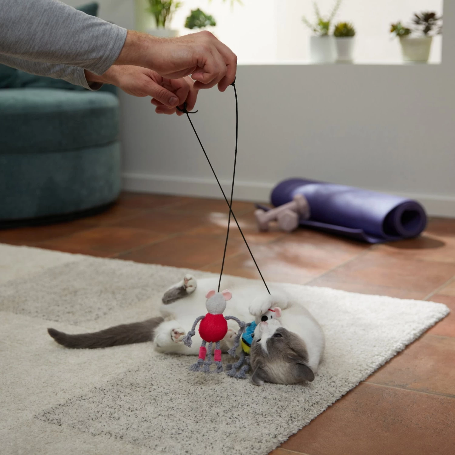 Frisco New Year, New Me Gym Bouncy Mice Plush Cat Toy With Catnip - Image 3