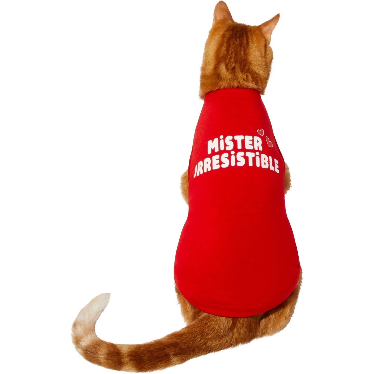 Frisco Mister Irresistible Dog & Cat T-Shirt - Image 3