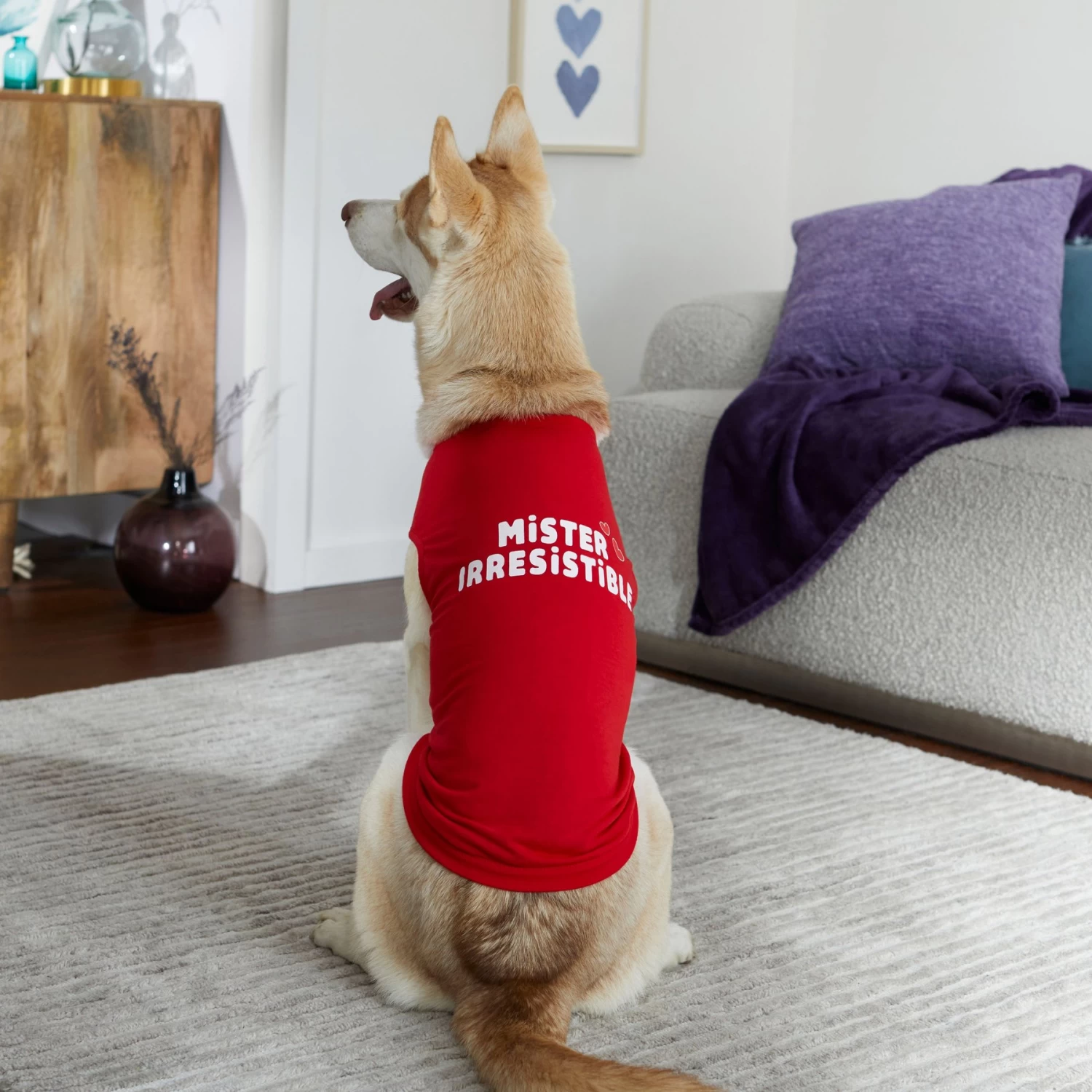 Frisco Mister Irresistible Dog & Cat T-Shirt - Image 6