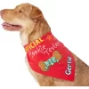 Frisco Official Cookie Tester Personalized Dog & Cat Bandana