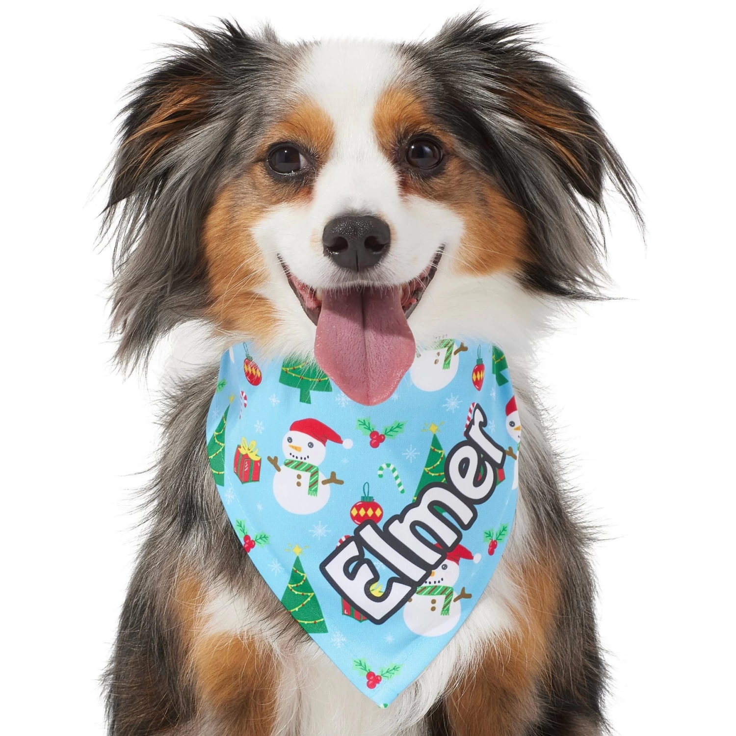 Frisco Snowman & Presents Personalized Dog & Cat Bandana - Image 7