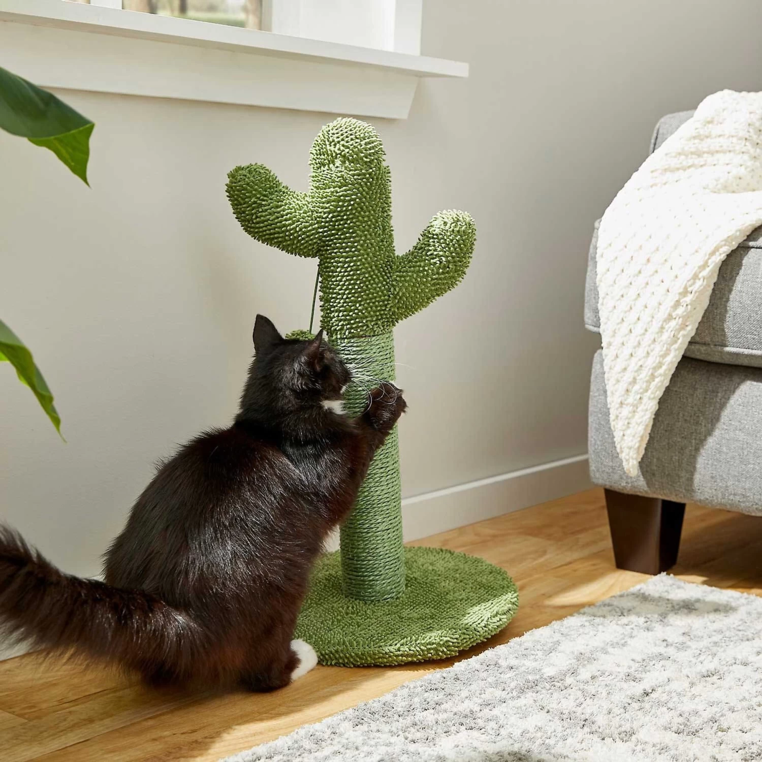 Frisco Cactus Cat Scratching Post & Frisco Dangly Avocado Buddy Plush Cat Toy With Catnip - Image 4
