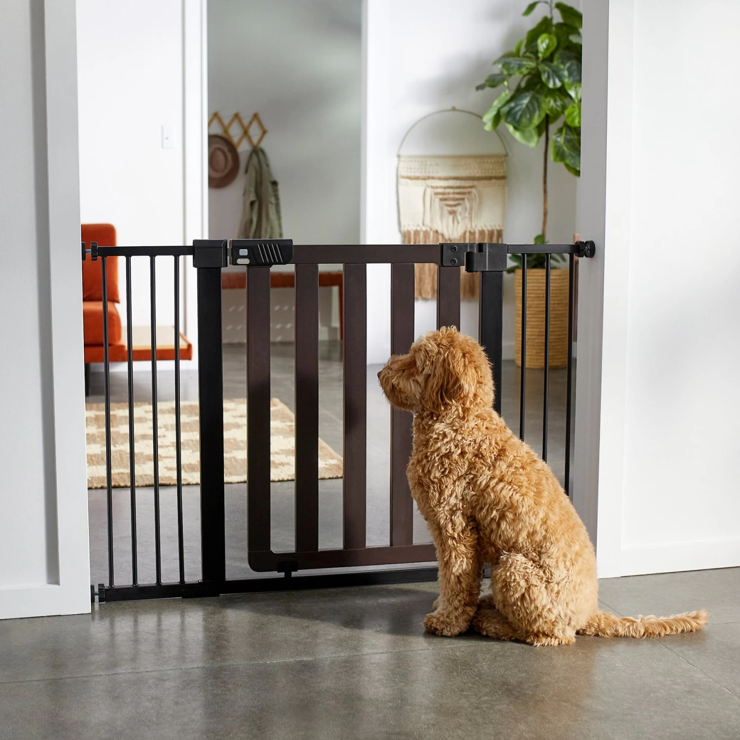 Frisco Wood & Metal Extra Wide Auto-close Dog Gate