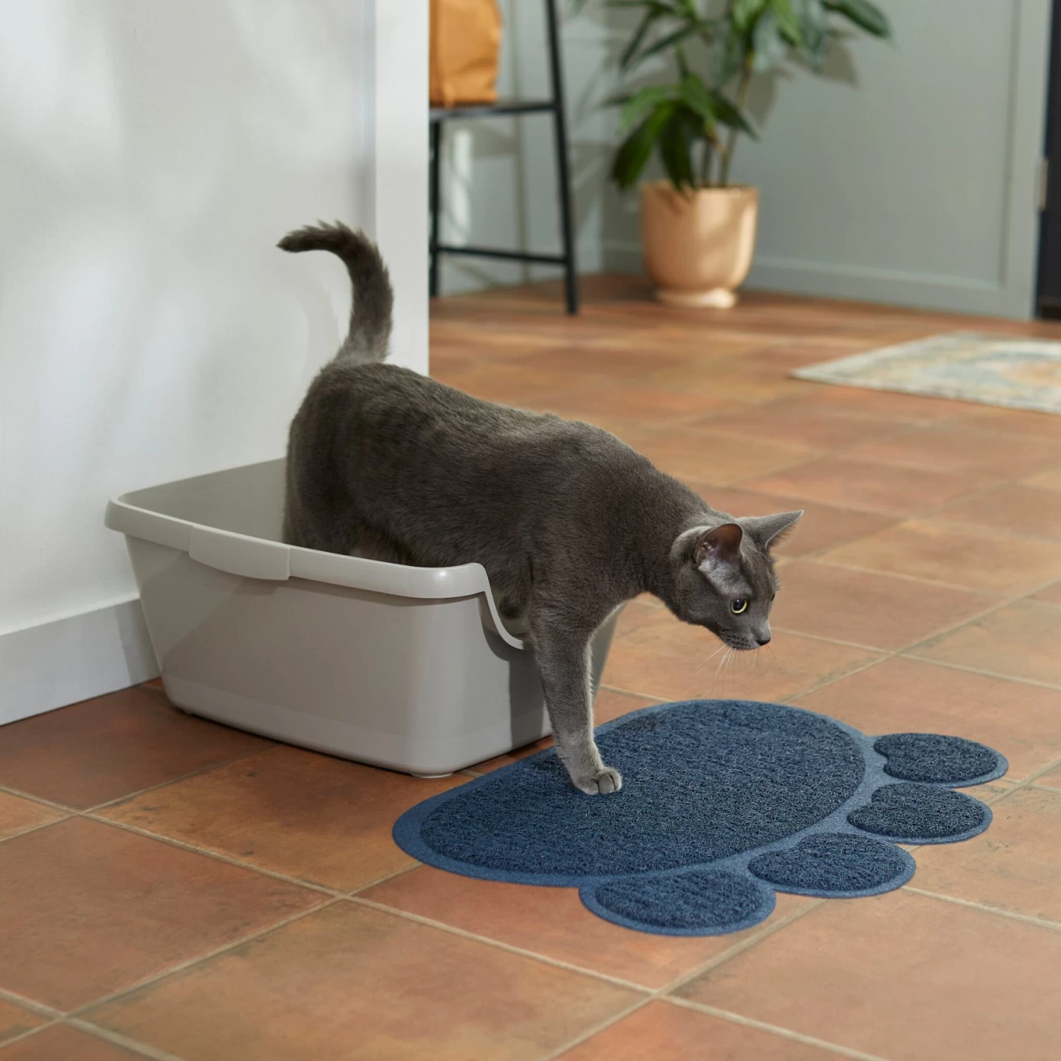 Frisco Paw Shaped Cat Litter Mat - Image 3