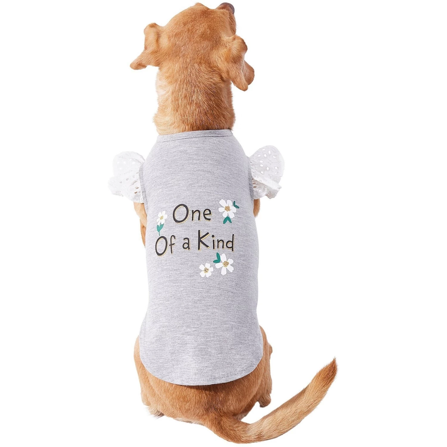 Frisco One Of A Kind Dog & Cat T-Shirt - Image 4