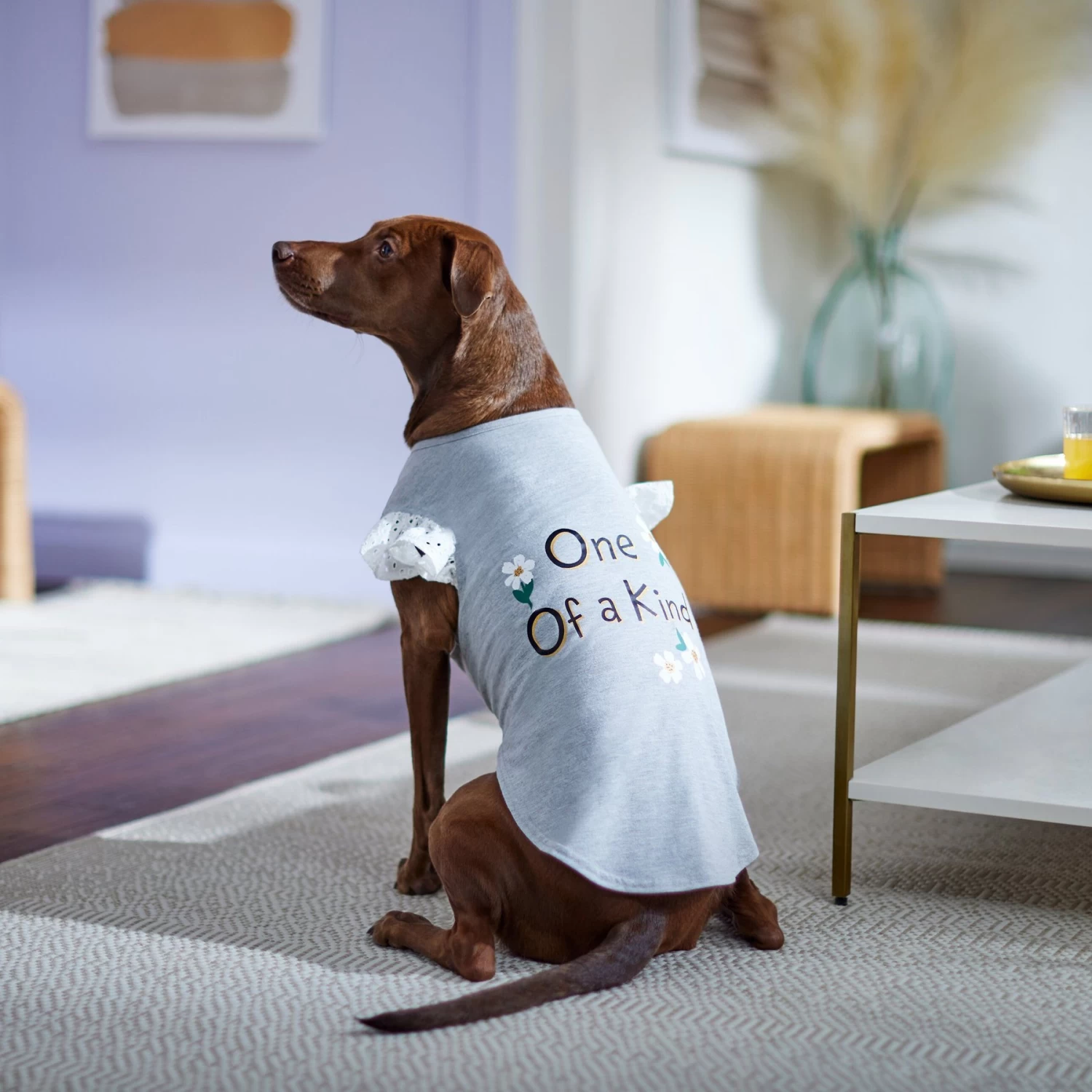 Frisco One Of A Kind Dog & Cat T-Shirt - Image 6