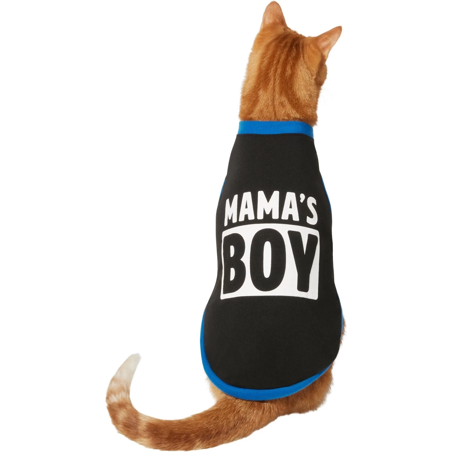 Frisco Mama's Boy Dog & Cat T-Shirt - Image 3