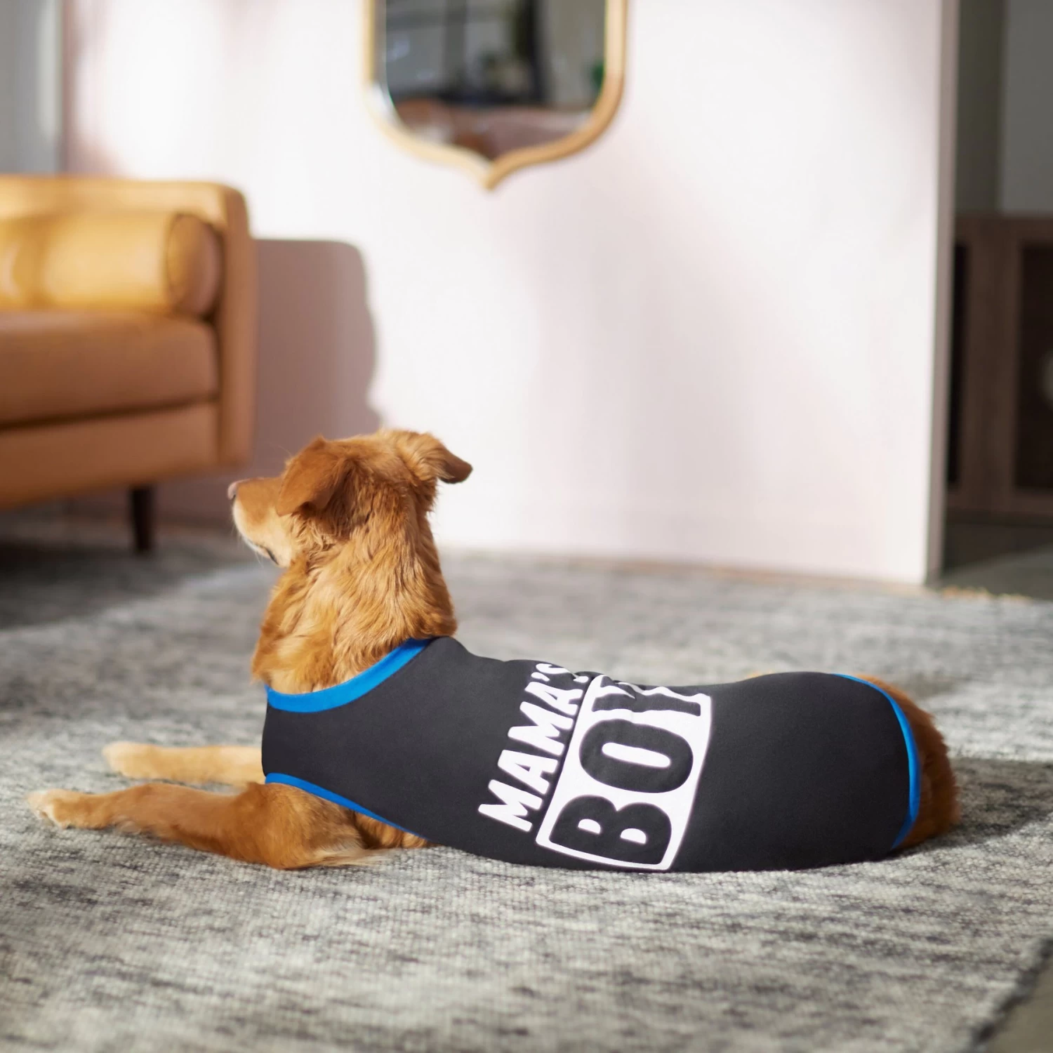 Frisco Mama's Boy Dog & Cat T-Shirt - Image 6